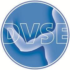 DVSE